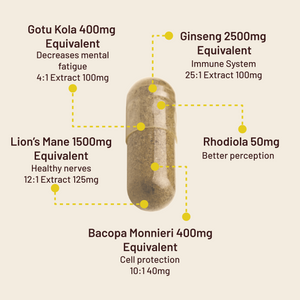 Lion's Mane Brain Complex with Bacopa, Gotu Kola, Ginseng and B12 - 120 Capsules