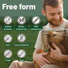 Load image into Gallery viewer, Vegan Multivitamins & Minerals with High B12, D3 & K2