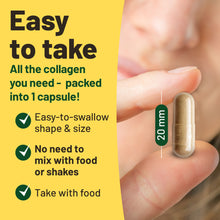 Load image into Gallery viewer, Vegan Collagen Complex