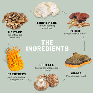 Super Mushroom Complex: A Formula Of 6 Powerful Mushrooms