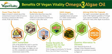 Load image into Gallery viewer, Benefits of Vegan Vitality Omega 3 Algae Oil