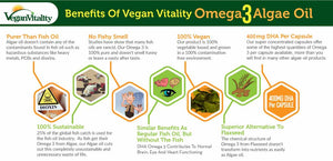 Benefits of Vegan Vitality Omega 3 Algae Oil